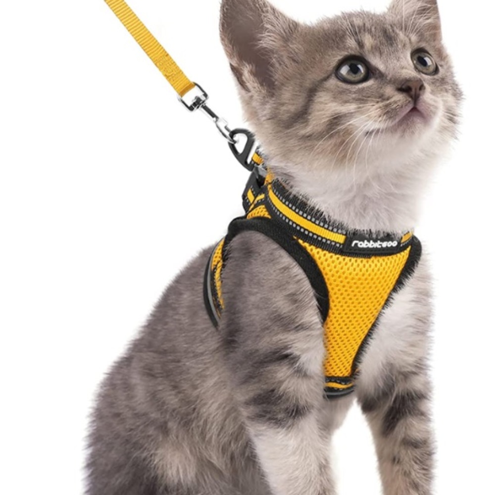 Cat Harness and Leash BRAND NEW